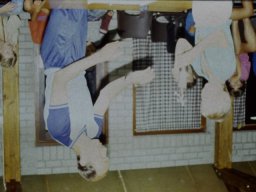 0DIA 1988 RAVAKAMP